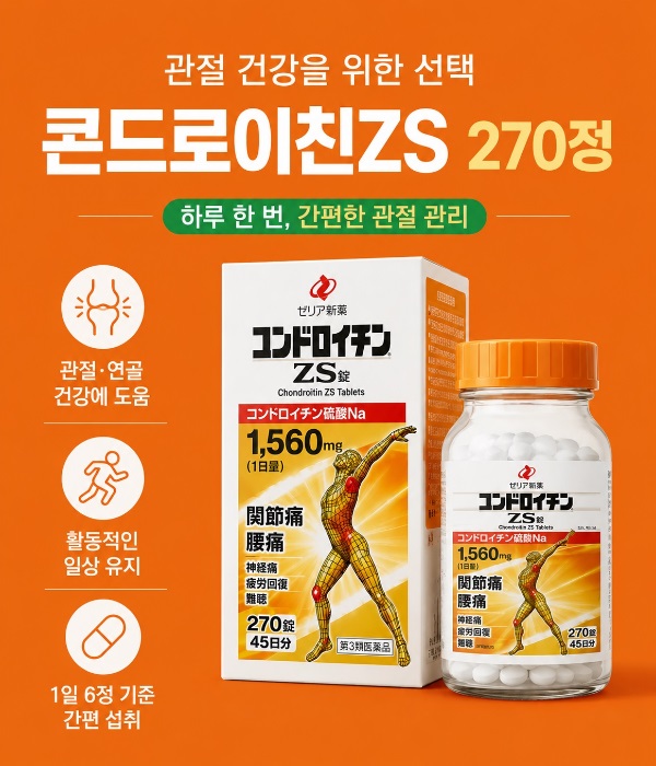 콘드로이친ZS 