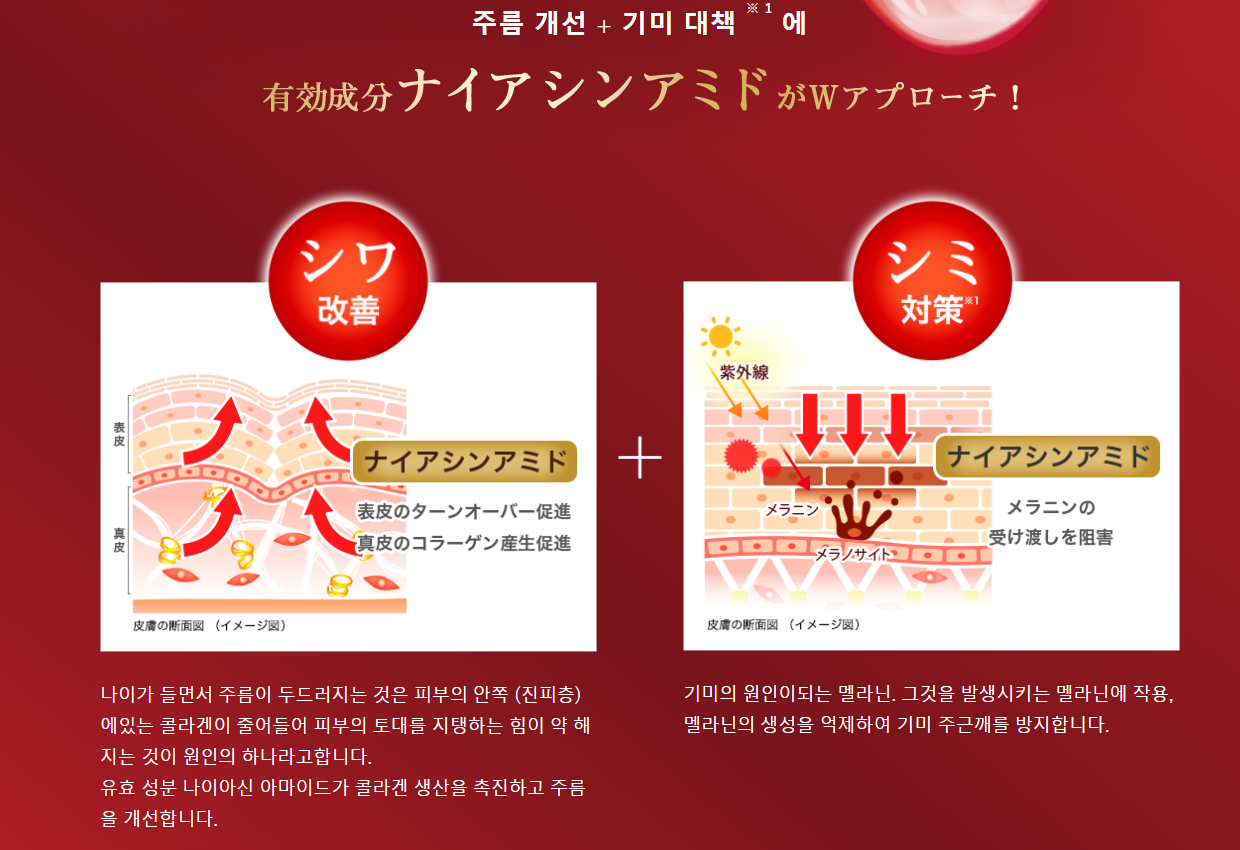 22c5d44d11a1b5bd0762a5a91c30a6b7_1634800118_3112.png