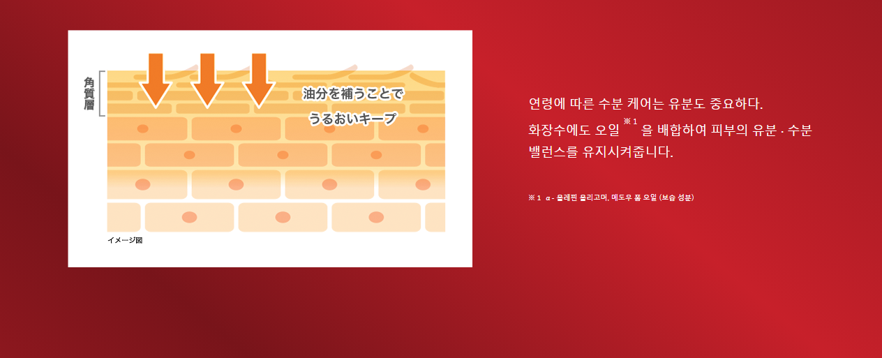 22c5d44d11a1b5bd0762a5a91c30a6b7_1634800119_4519.png
