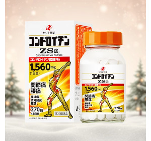 콘드로이친ZS [ 270정 ]