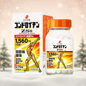 콘드로이친ZS [ 270정 ]