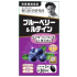 노구치연구소 블루베리 & 루테인 60정