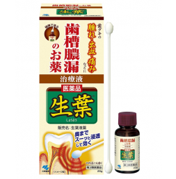 생엽 20g