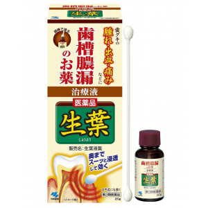 생엽 20g