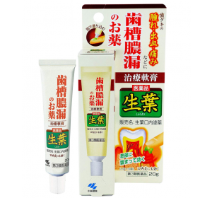 생엽 구강 바르는 약 20g