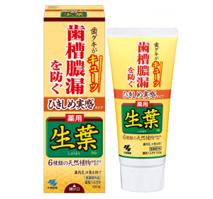 생엽 치조농루 예방 약용 치약 허브 민트맛 100g