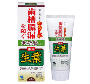 생엽 치조농루 예방 약용 치약 허브 민트맛 95g