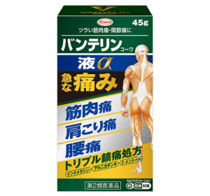 반테린 코와 액체a 파스 45g