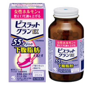 비스랏토 그랑 EX 방풍 252정