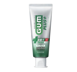 GUM 플러스 덴탈 페이스트 허브 민트 치약 120g