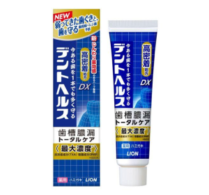 라이온 덴트헬스 DX 치루농루 충치예방 치약 28g
